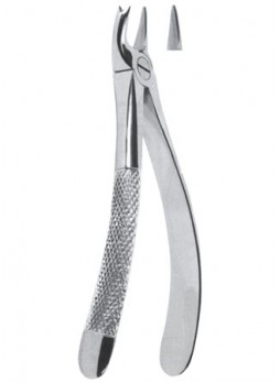 Extracting Forceps